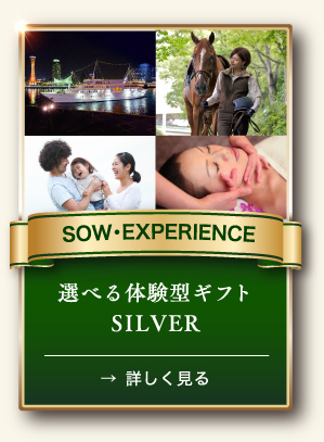 SOW・EXPERIENCE 選べる体験型ギフト SILVER