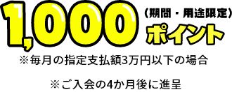 1,000ポイント（期間・用途限定）※毎月の指定支払額3万円以下の場合 ※ご入会の4か月後に進呈